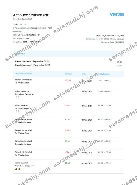 Lithuania Verse Payments account statement Word and PDF template